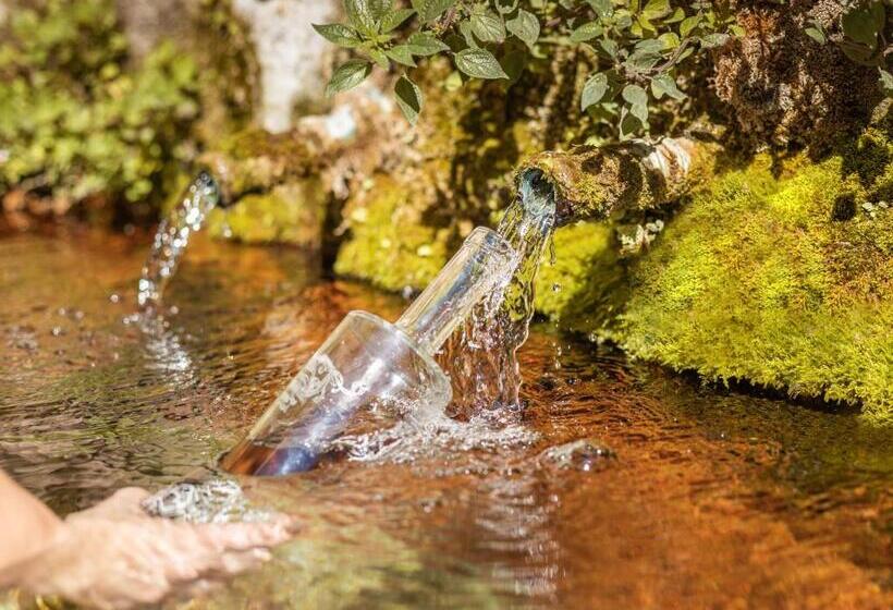 Le Cocon De La Source   Votre Séjour Au Frais En Provence Verte