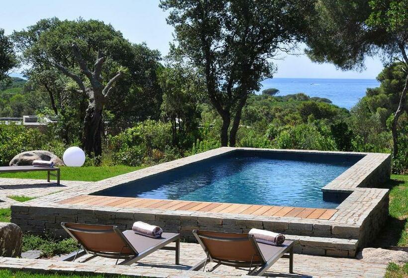 Les Lofts De Palombaggia