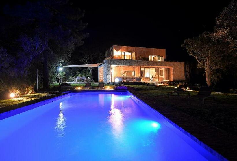 Les Lofts De Palombaggia