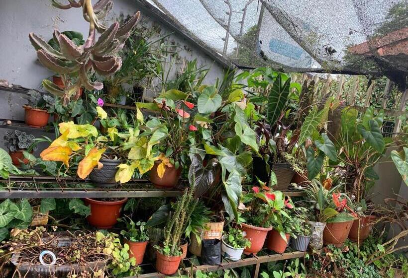 My House In Macas, Suite Amoblada