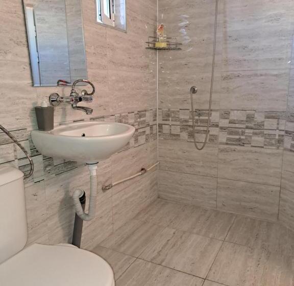 بنسيون къща за гости чекичев