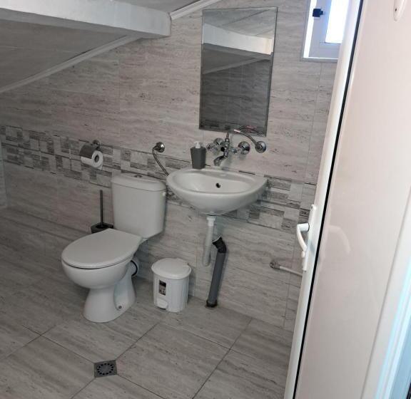 بنسيون къща за гости чекичев