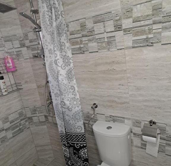 بنسيون къща за гости чекичев