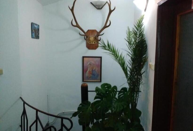 بنسيون къща за гости чекичев