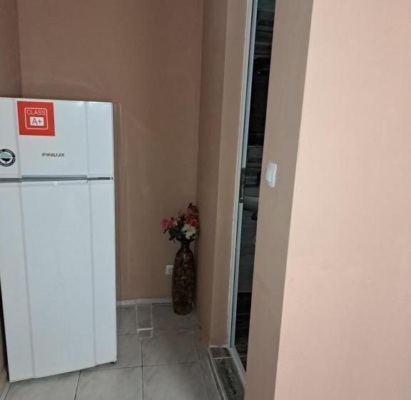 بنسيون къща за гости чекичев