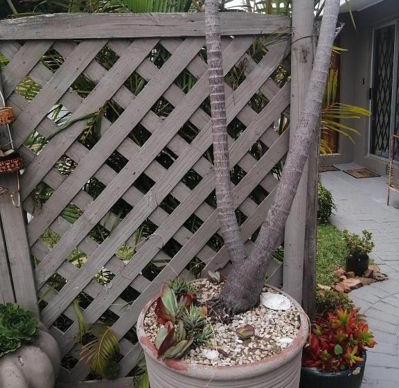 膳宿费 36 Mount Road Guesthouse And Self Catering