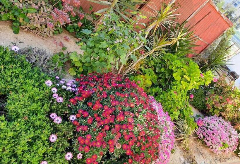 膳宿费 Akhva Accommodation Unit אחווה יחידת אירוח