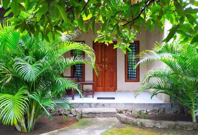 פנסיון Angga Guest House