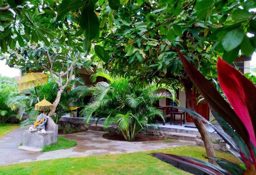 פנסיון Angga Guest House