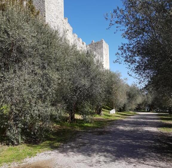 بنسيون Antica Casa Di Famiglia