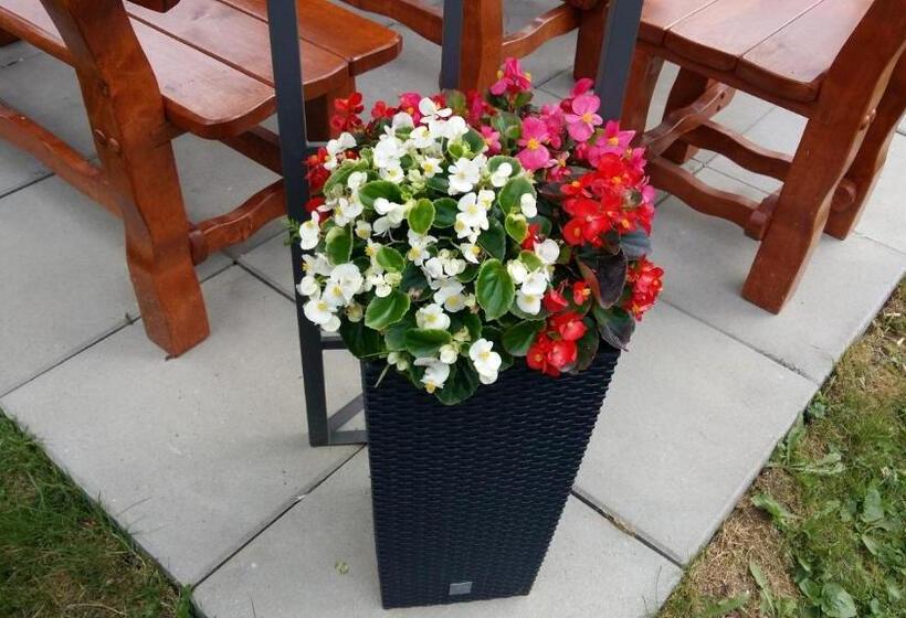 بنسيون Apartmán U Paťka Zuberec