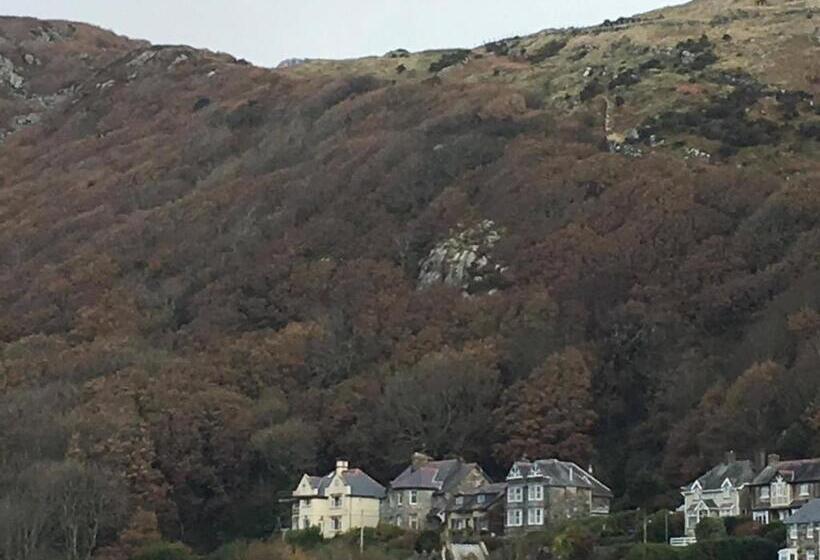 פנסיון Bluebells Guest House