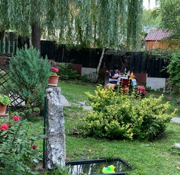 פנסיון Casa Parvu