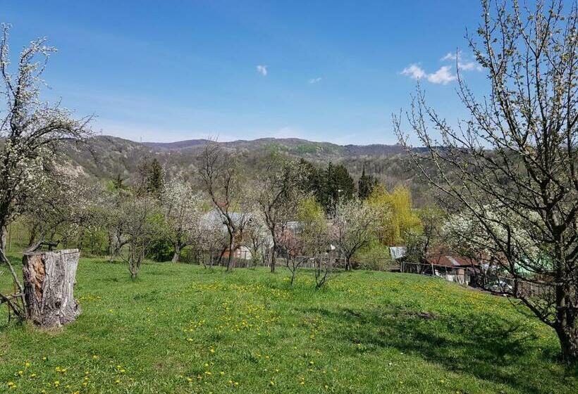 بنسيون Casa Parvu