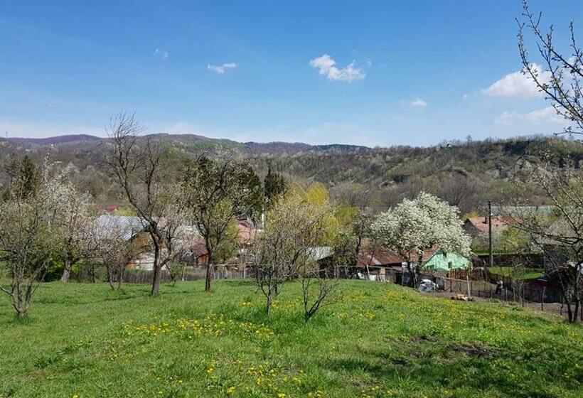 بنسيون Casa Parvu