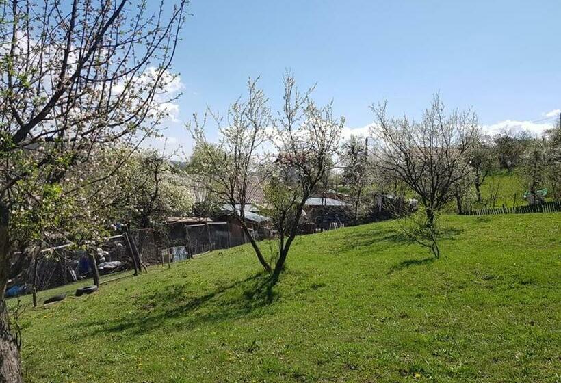 بنسيون Casa Parvu