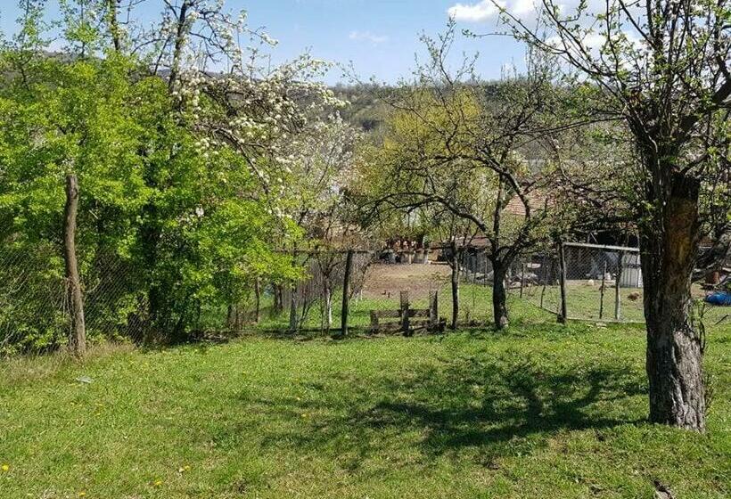 פנסיון Casa Parvu