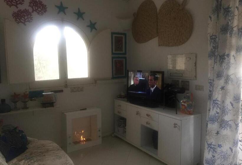 膳宿费 Casa Tortuca