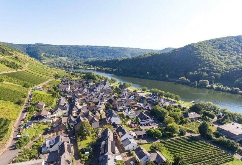 ペンション Ferien Weingut Pauly