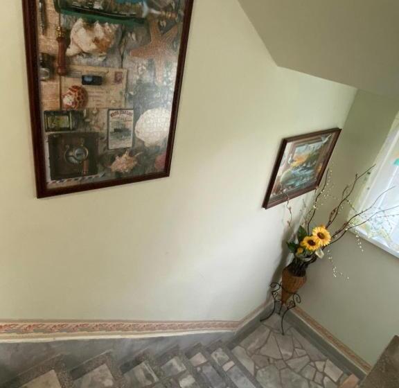 بنسيون Jacky S House