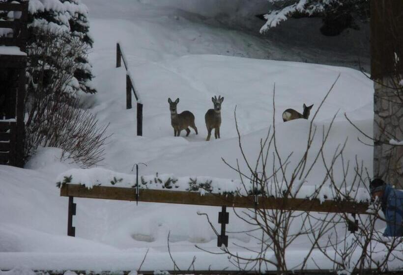 Пансион Penzion Sluníčko