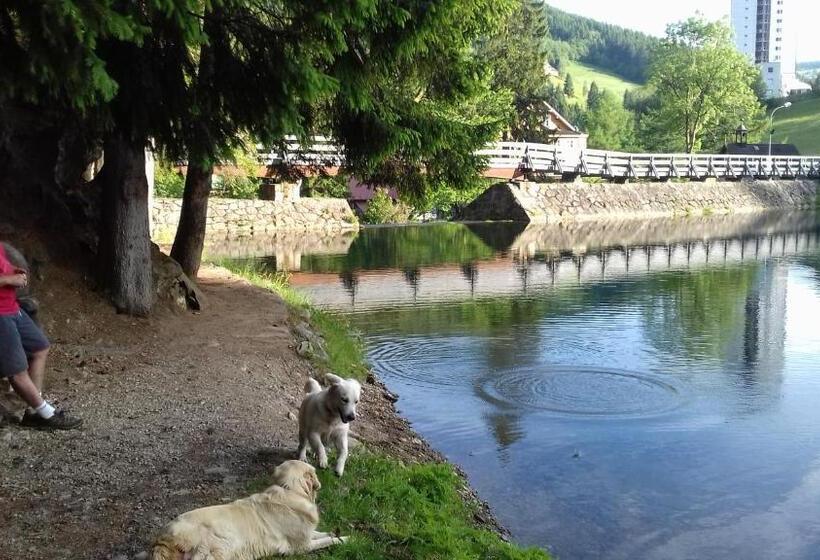 Пансион Penzion Sluníčko