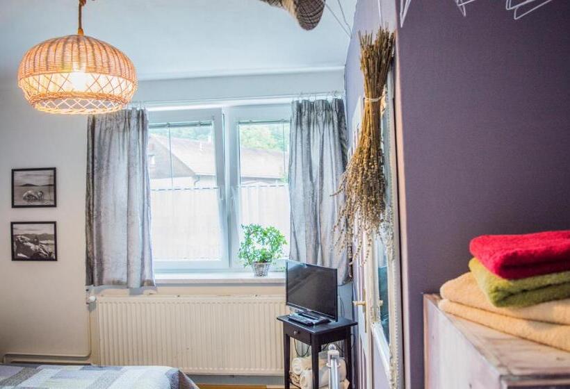 膳宿费 Penzion U Lupíků