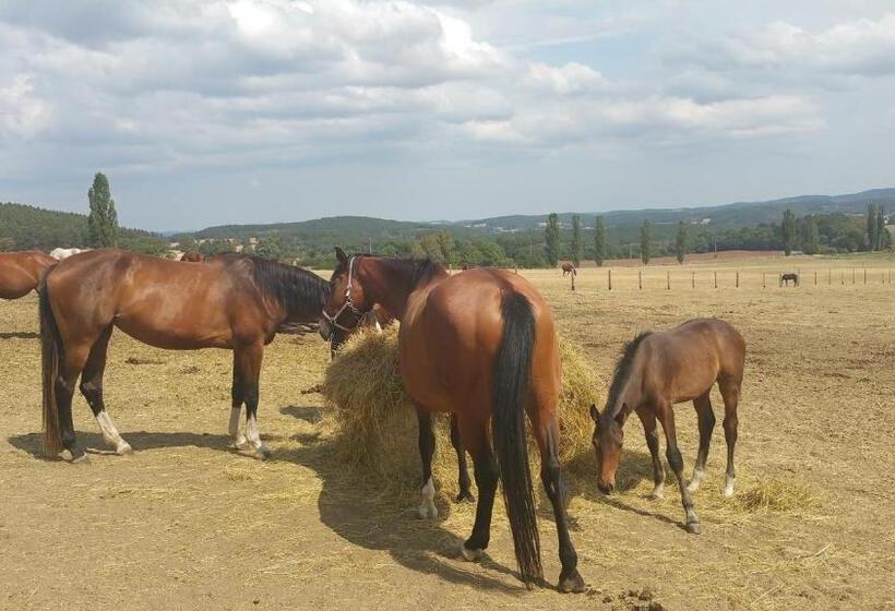 ペンション Penzion U švarců