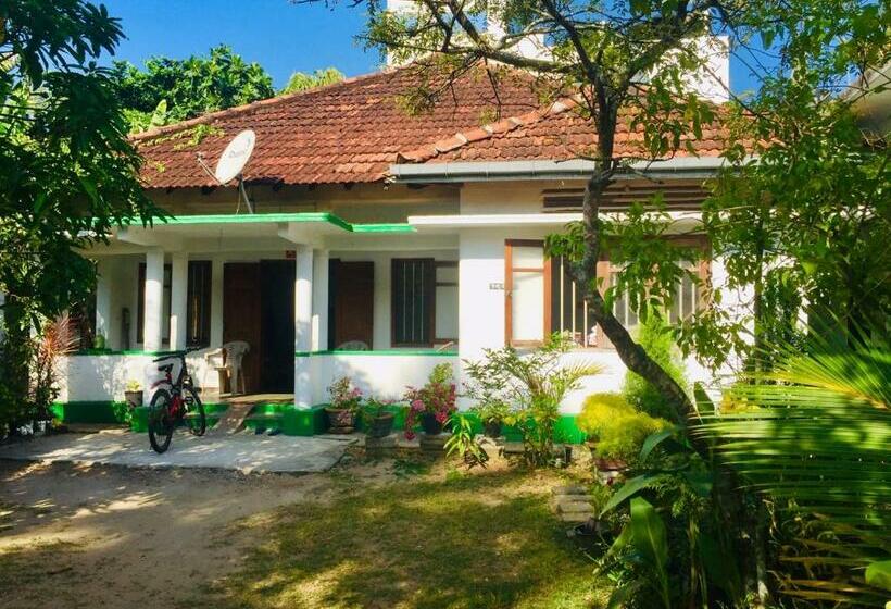 פנסיון Summer Green