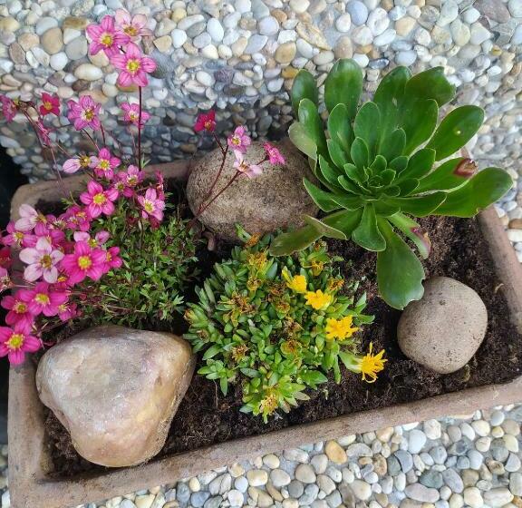 Пансион U Tomíčků