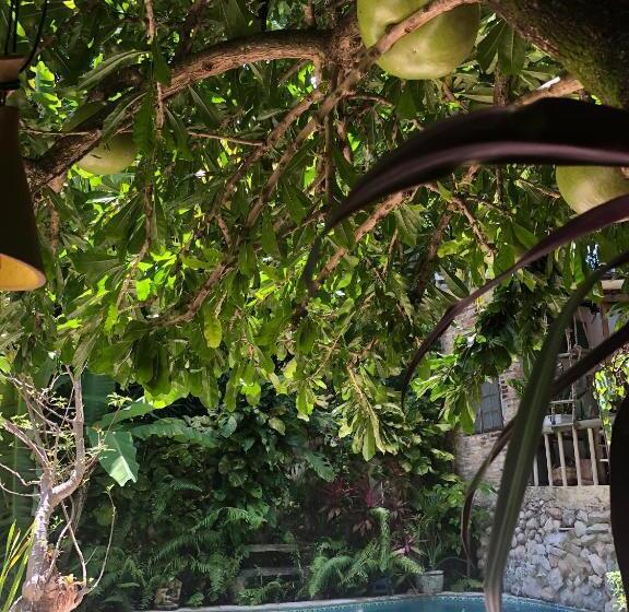 ユースホステル Pousada São Pedro