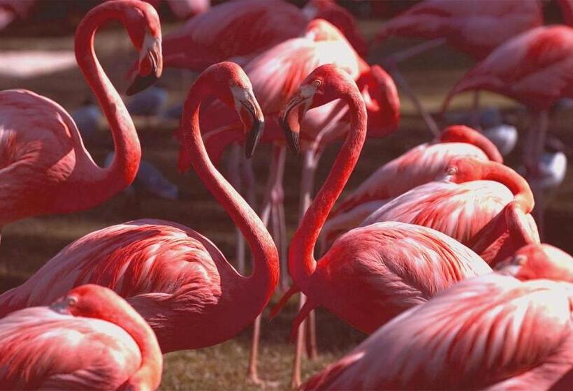 Bed and Breakfast Antico Centro Quartu