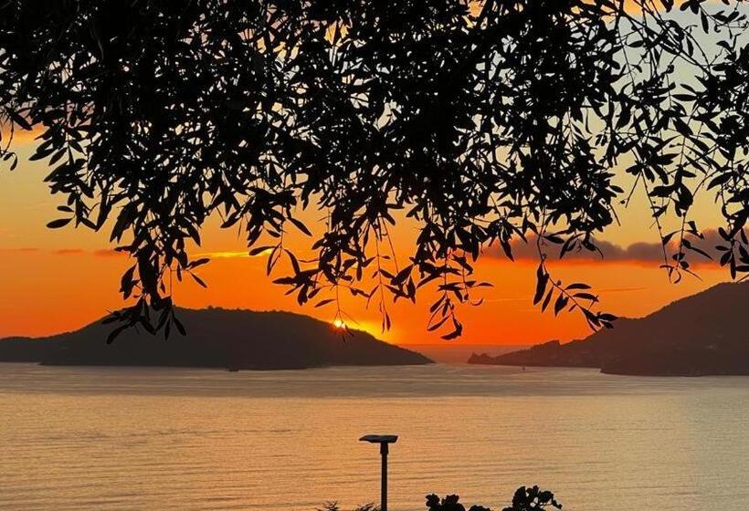 B&b Camera Bellavista