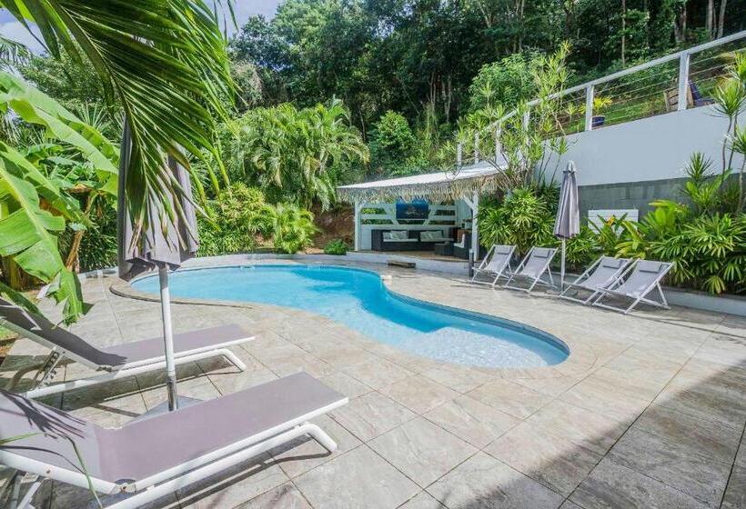 צימר Carre Royal