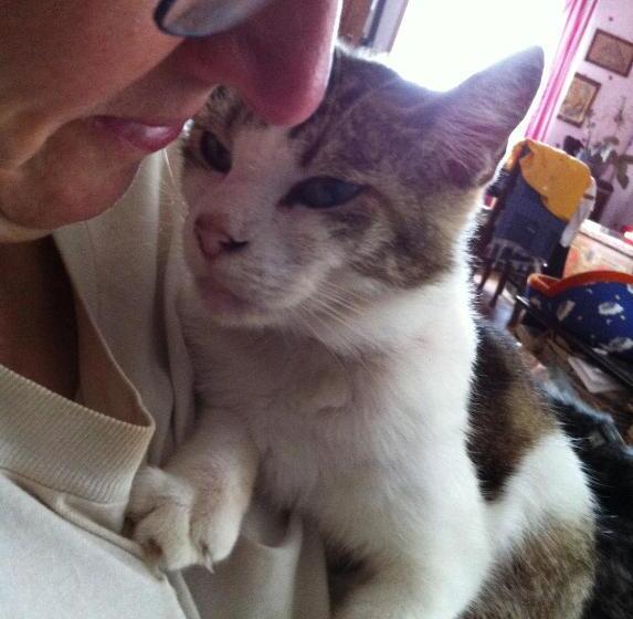 Bed and Breakfast Chambres D Hôtes Et Gîte Chez Martine