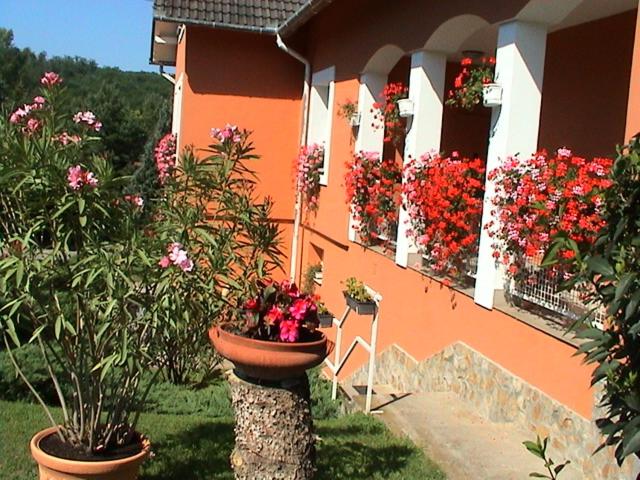 Bed and Breakfast Cseppkő Panzió