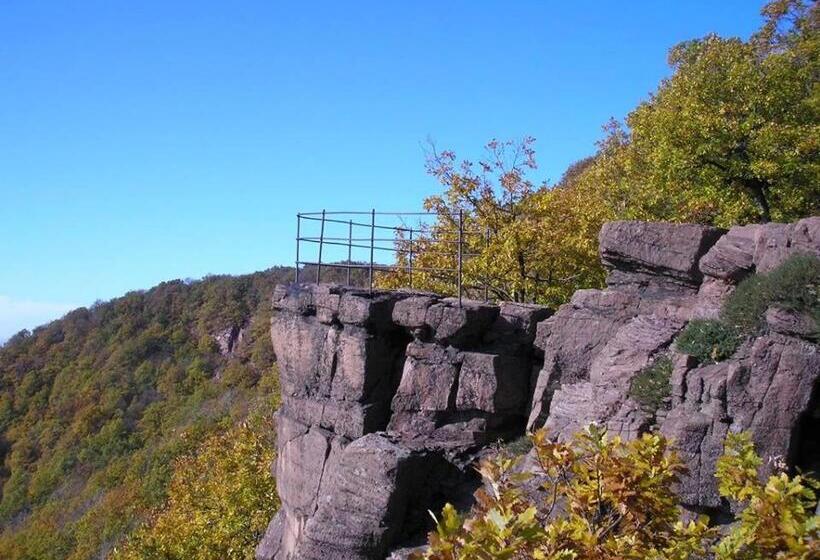 Bed and Breakfast Cseppkő Panzió