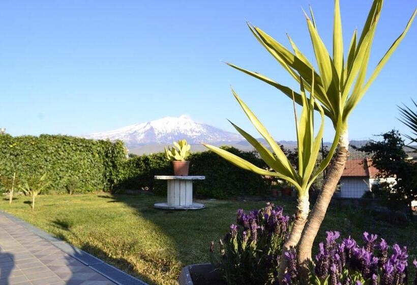 住宿加早餐 Good Morning Etna