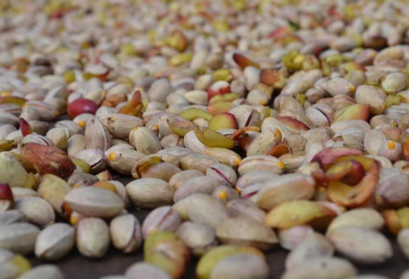 住宿加早餐 Good Morning Etna