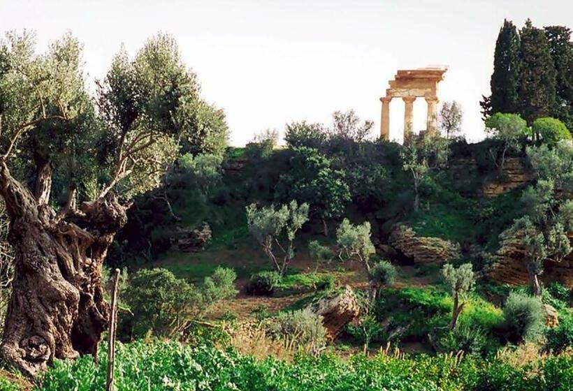 Bed and Breakfast La Città Degli Dei