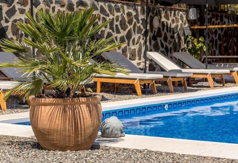 Bed And Breakfast Mirador Infinito