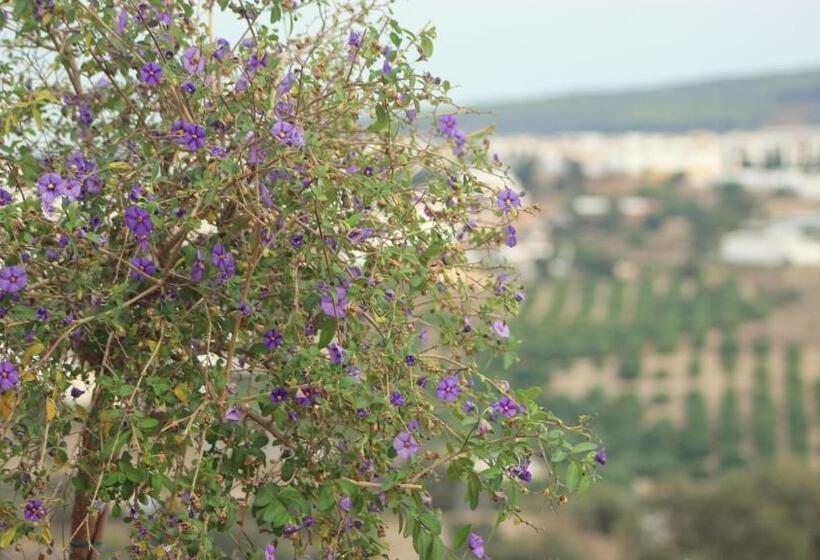 Bed And Breakfast Mirador Infinito