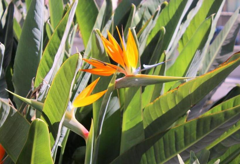 Bed And Breakfast Mirador Infinito