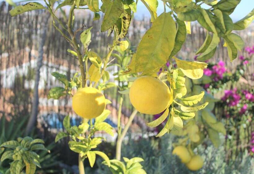 Bed And Breakfast Mirador Infinito