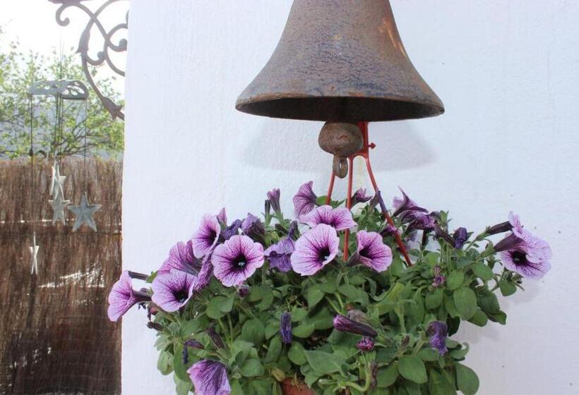 Bed And Breakfast Mirador Infinito