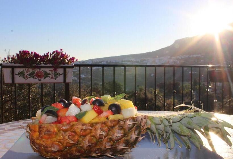 Bed And Breakfast Mirador Infinito