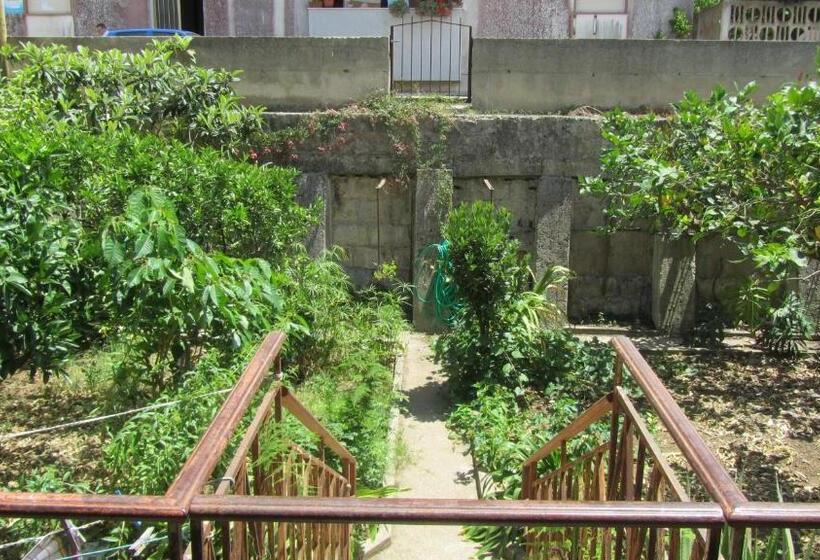 Bed & Breakfast Alice