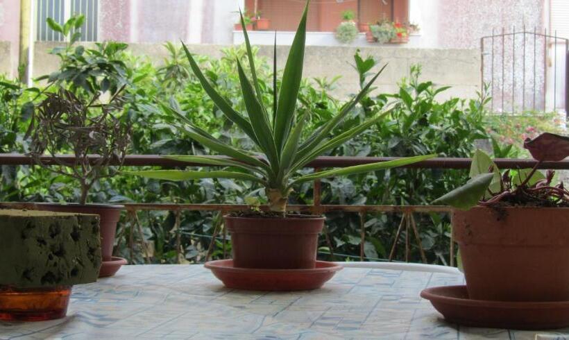 Bed & Breakfast Alice