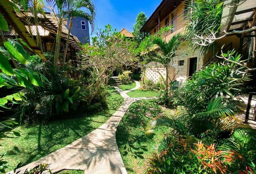 Home Bience Hostel
