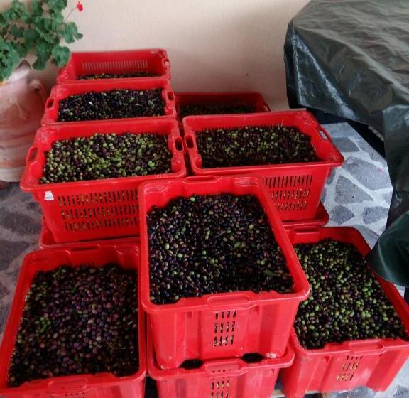 酒店 Agriturismo Il Melo